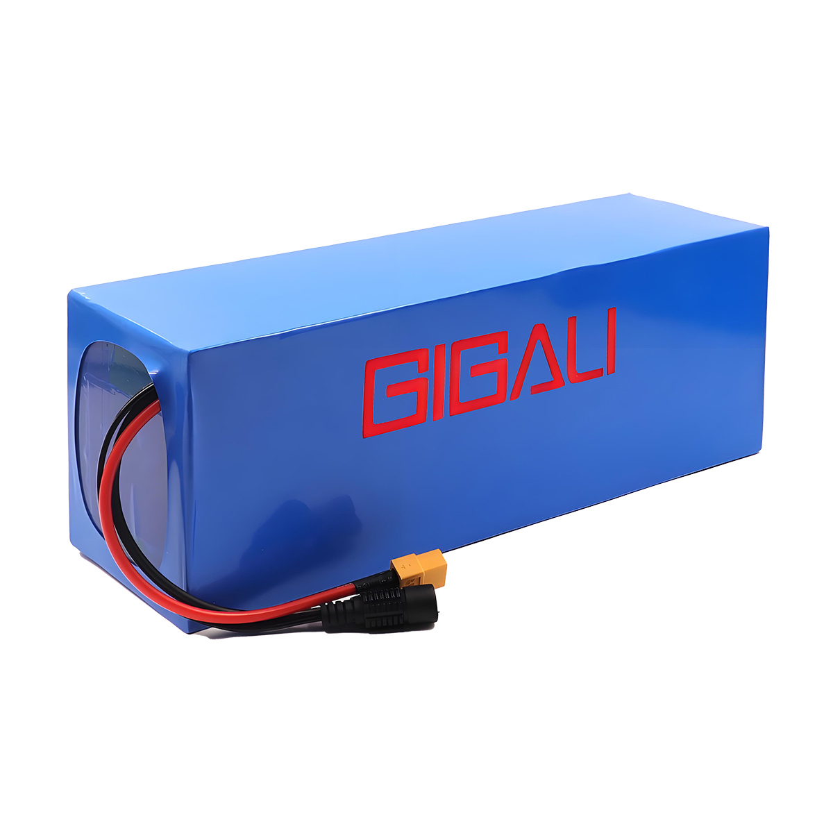 Gigalienergy 48V 10Ah battery pack