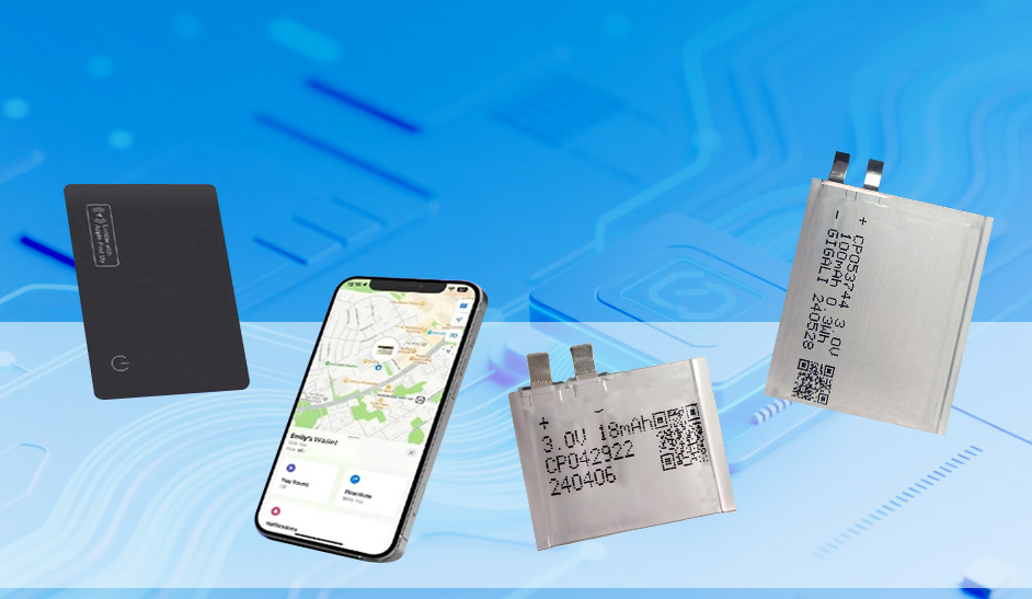 Non-Rechargeable Lipo Battery
